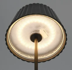 Reality Leuchten LED-Akku-Tischleuchte 1flg schwarz
