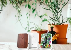 Relaxound Junglebox Design mehrfarbig