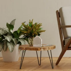 Relaxound Zwitscherbox Classic braun