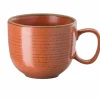 Rosenthal Cappuccinoobertasse 270ml orange