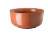 Rosenthal Müslischale 15cm orange