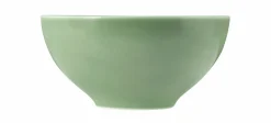 Seltmann Schüssel rund 15,5cm grün