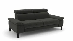 2,5-Sitzer-Sofa grau
