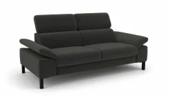 2,5-Sitzer-Sofa grau