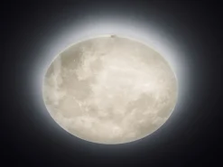 Trio Leuchten LED-Deckenleuchte 1 flg weiß