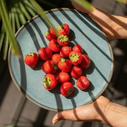 Villeroy & Boch Frühstücksteller 23cm blau