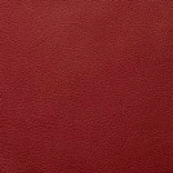 vito Armlehnenstuhl rot