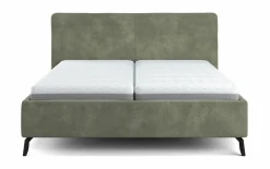 vito Designbett graugrün