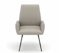 vito Esszimmerstuhl mit Armlehne grau