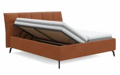 vito Polsterbett braun
