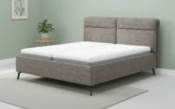 vito Polsterbett braungrau