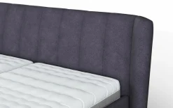 vito Polsterbett grauviolett