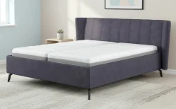 vito Polsterbett grauviolett