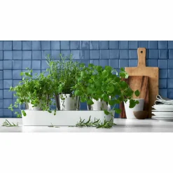 WMF Kräutergarten-Set 3tlg weiß