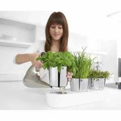 WMF Kräutergarten-Set 3tlg weiß