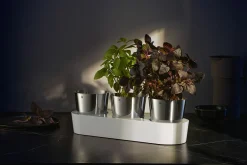 WMF Kräutergarten-Set 3tlg weiß