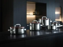 WMF Topfset 5tlg silberfarbenrot